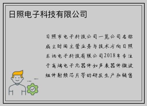 日照电子科技有限公司